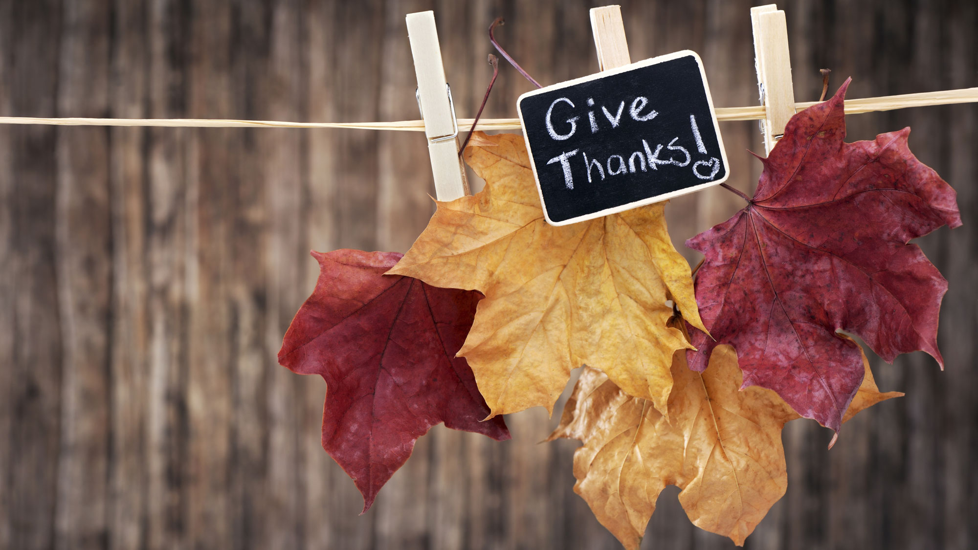 Giving Thanks…