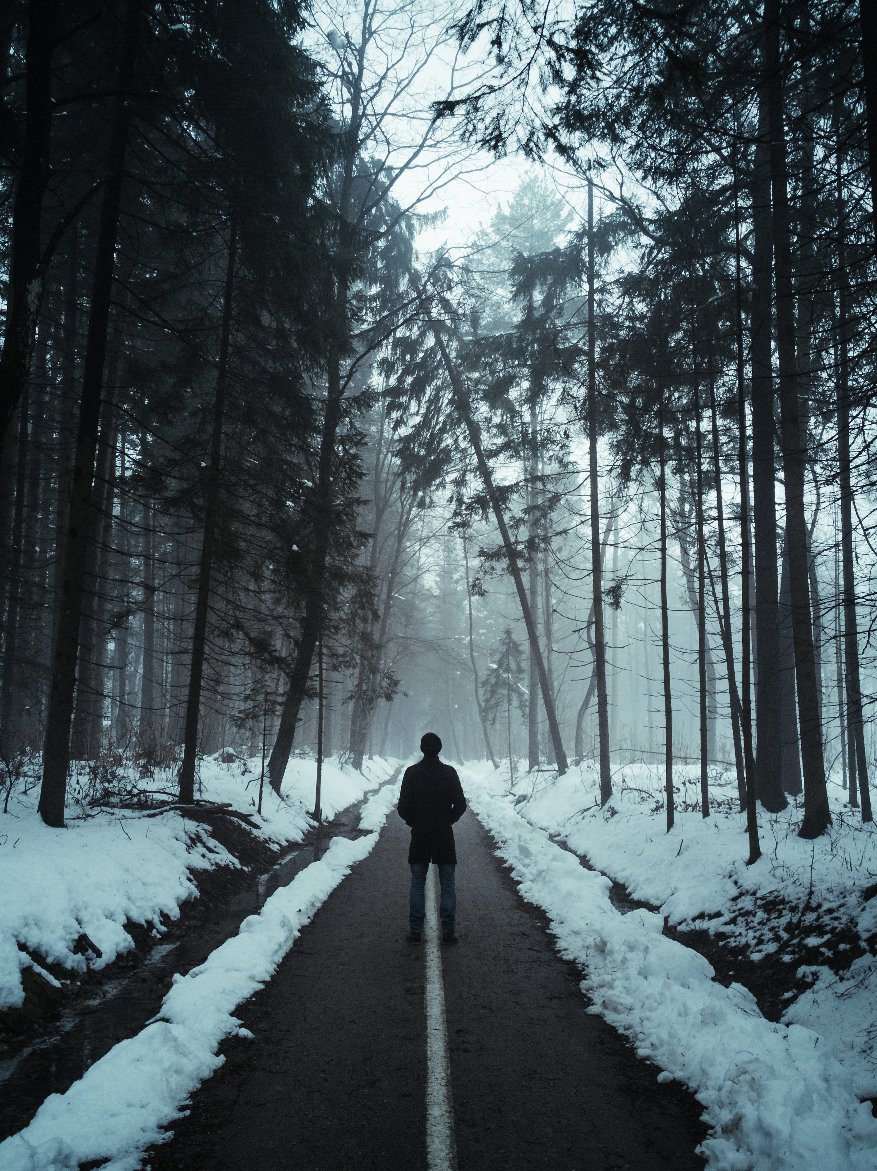 person-in-black-jacket-walking-on-snow-covered-pathway-3494648