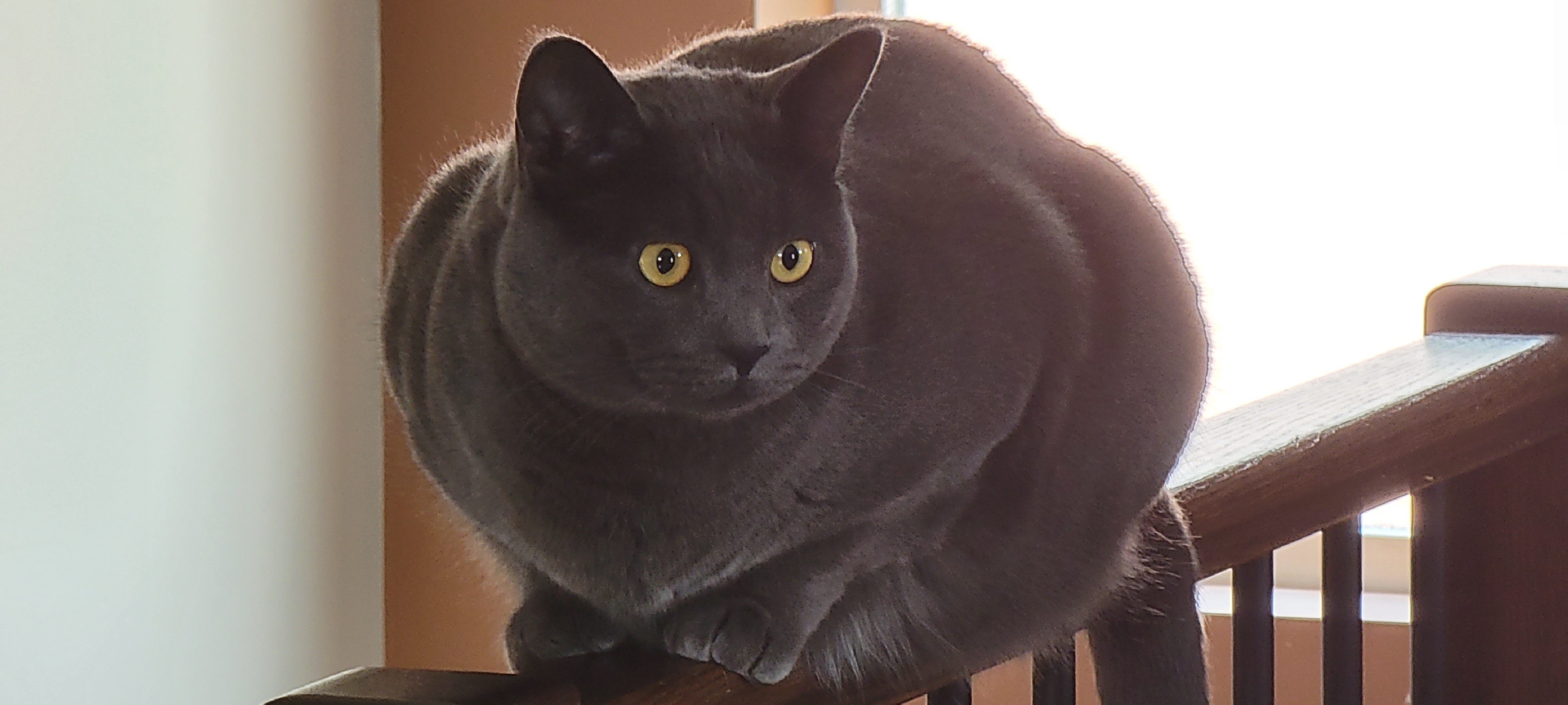 The Beast Draws Near…