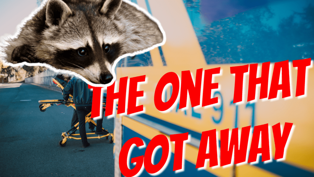 The One That Got&nbsp;Away