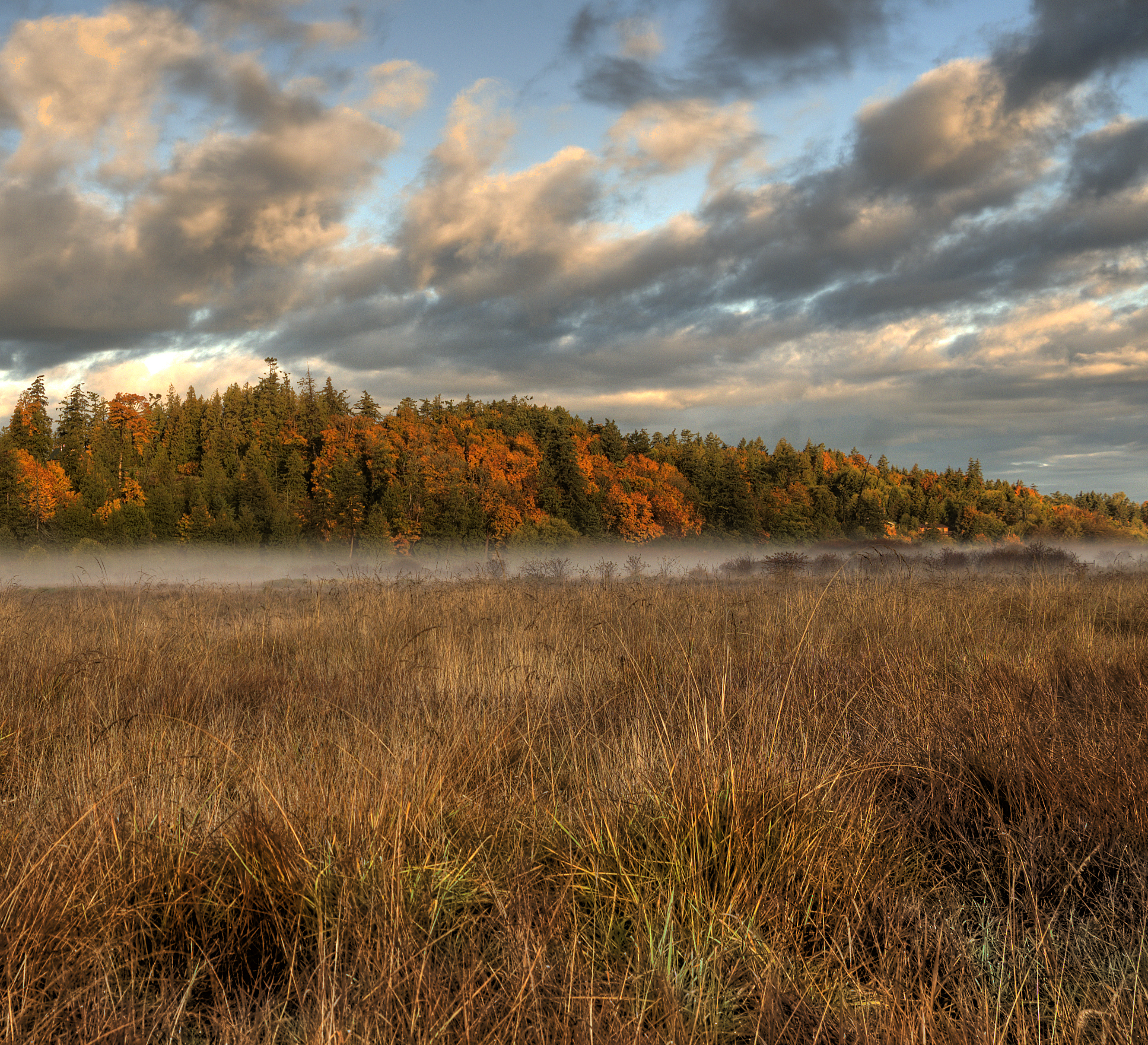 saanichton2c british columbia