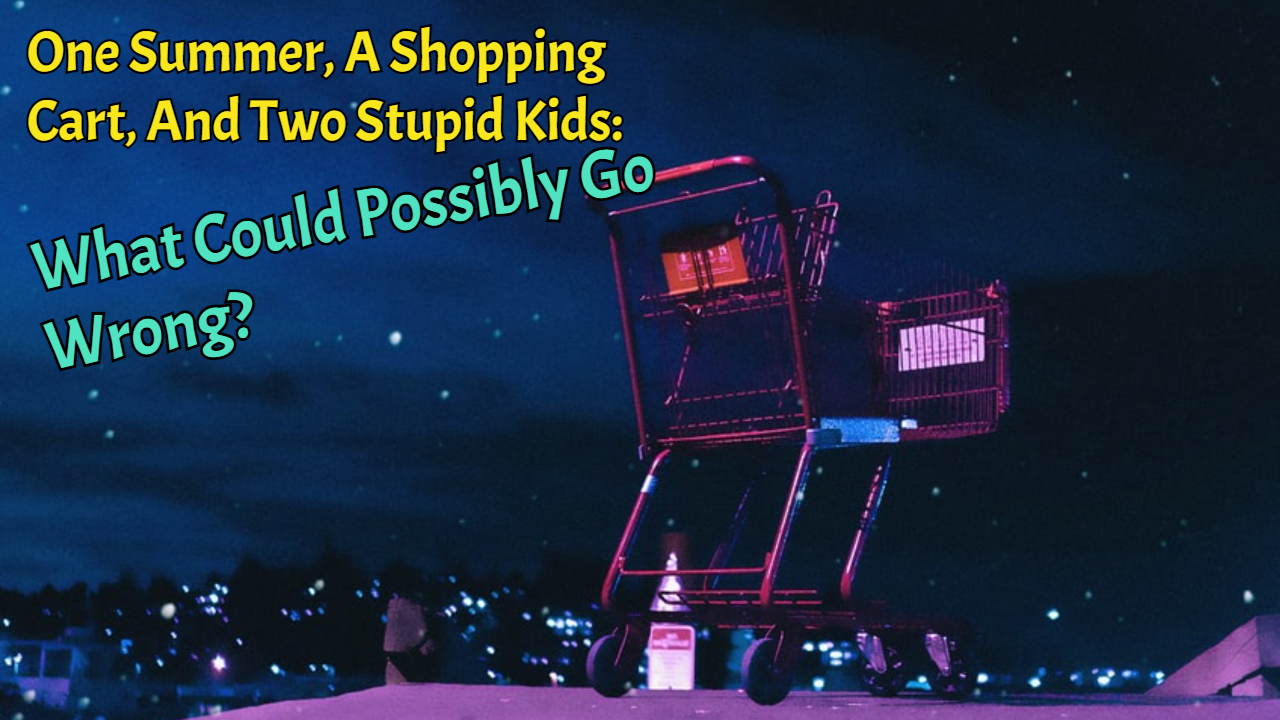 One Summer, A Shopping Cart, And Two Stupid Kids: What Could Possibly Go Wrong?