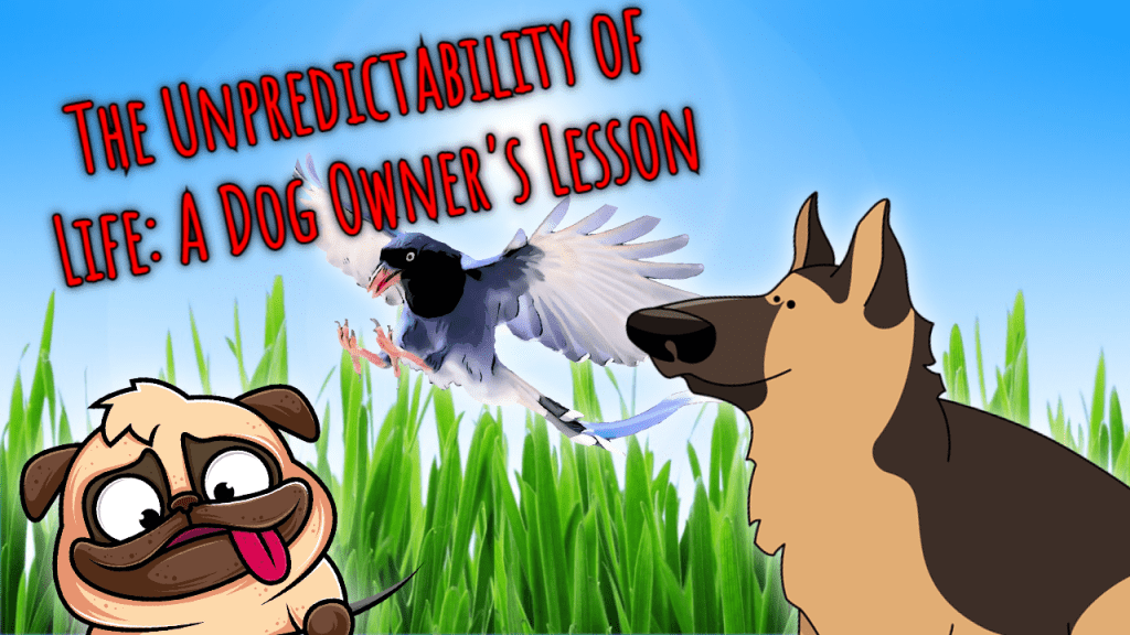 The Unpredictability of Life: A Dog Owner’s&nbsp;Lesson